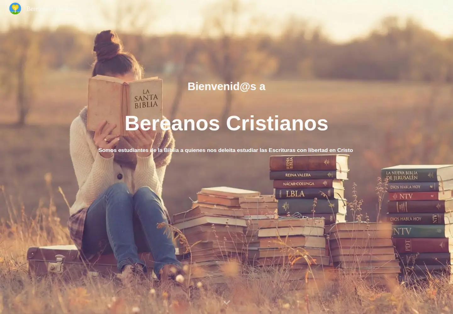 Screenshot of bereanos.org