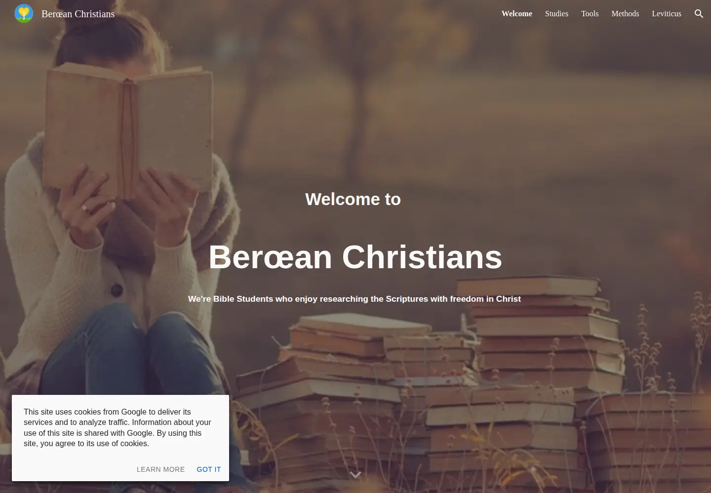 Captured homepage of beroeans.org in the current scan
