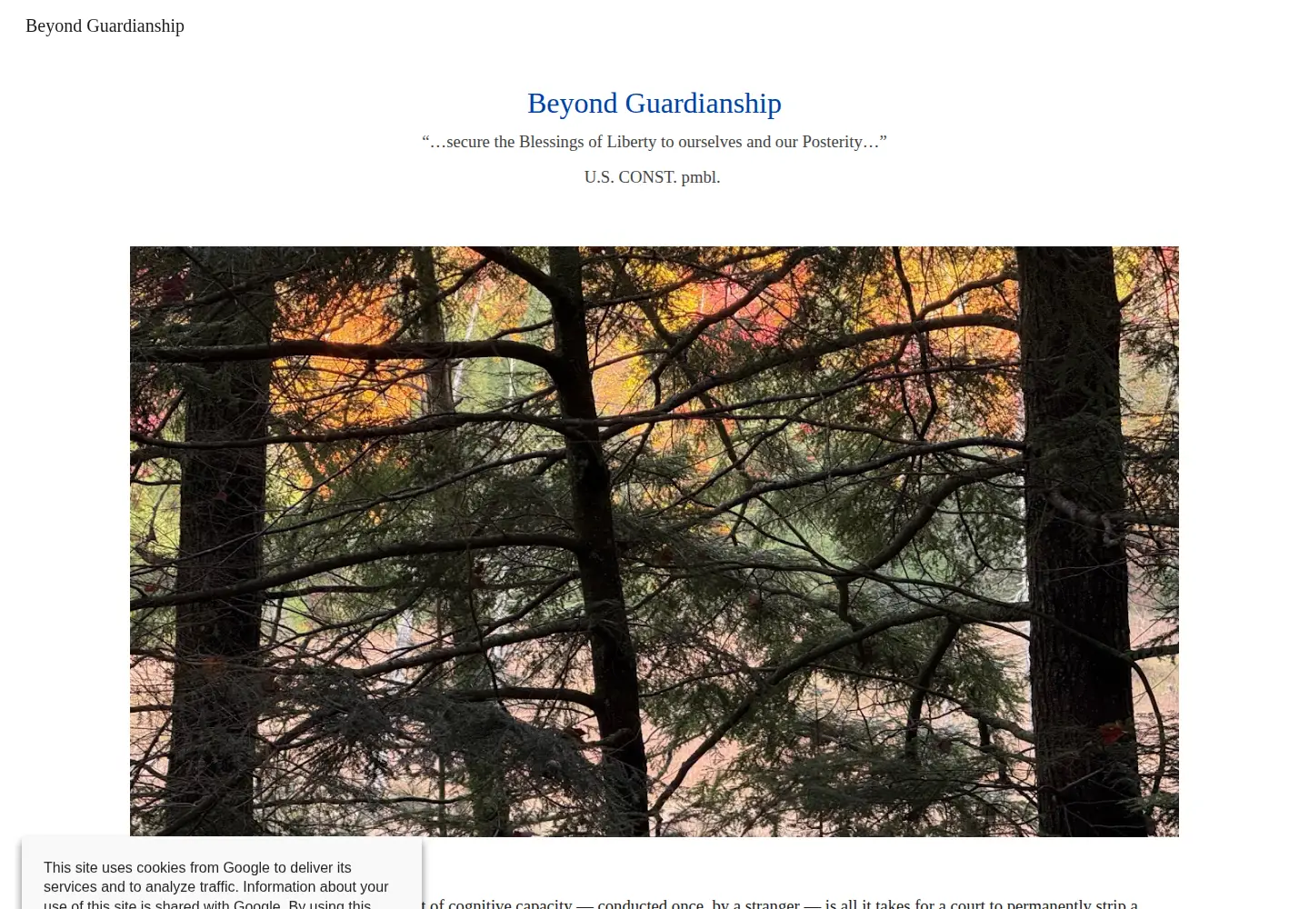 Screenshot of beyondguardianship.org
