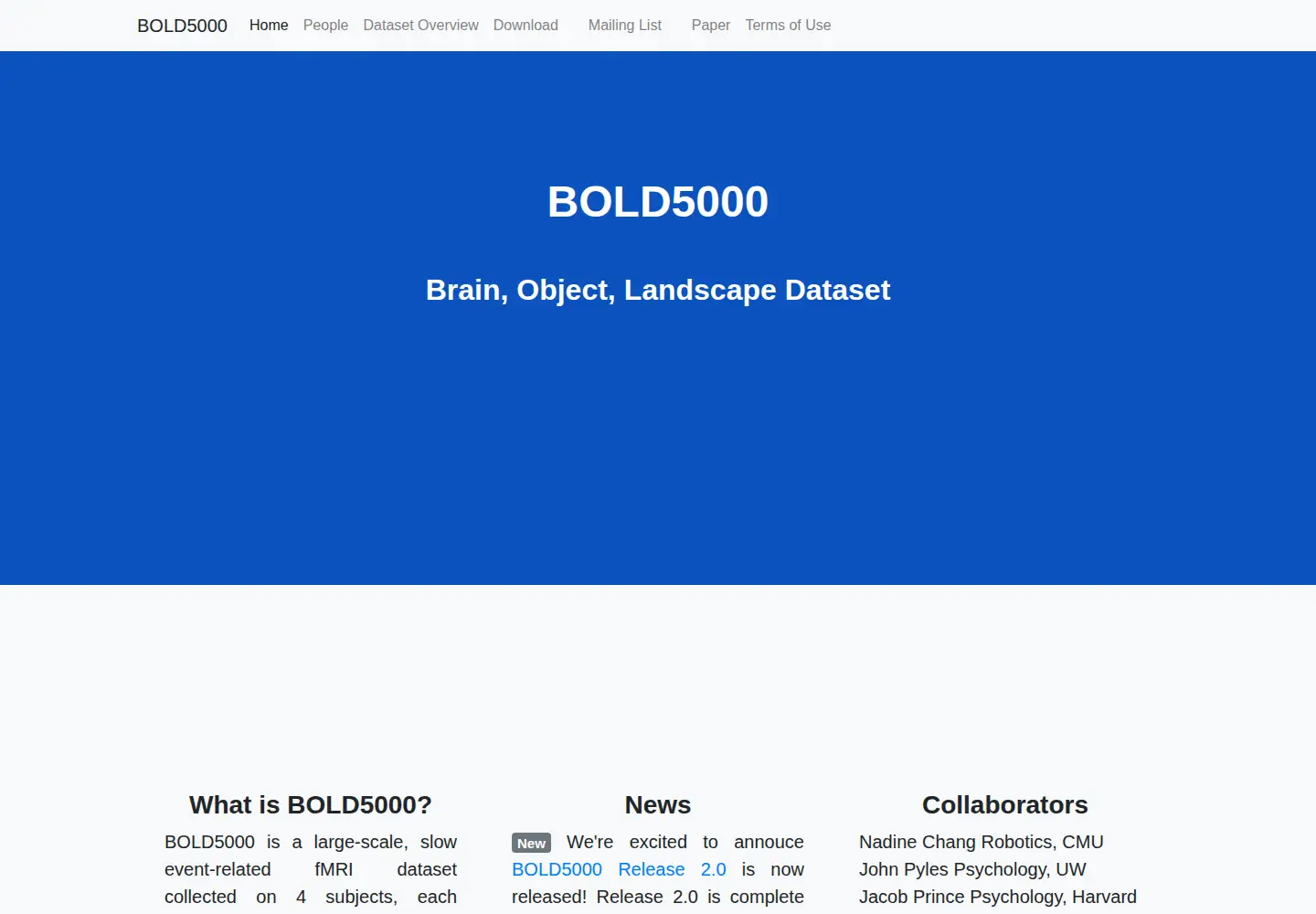Screenshot of bold5000.org