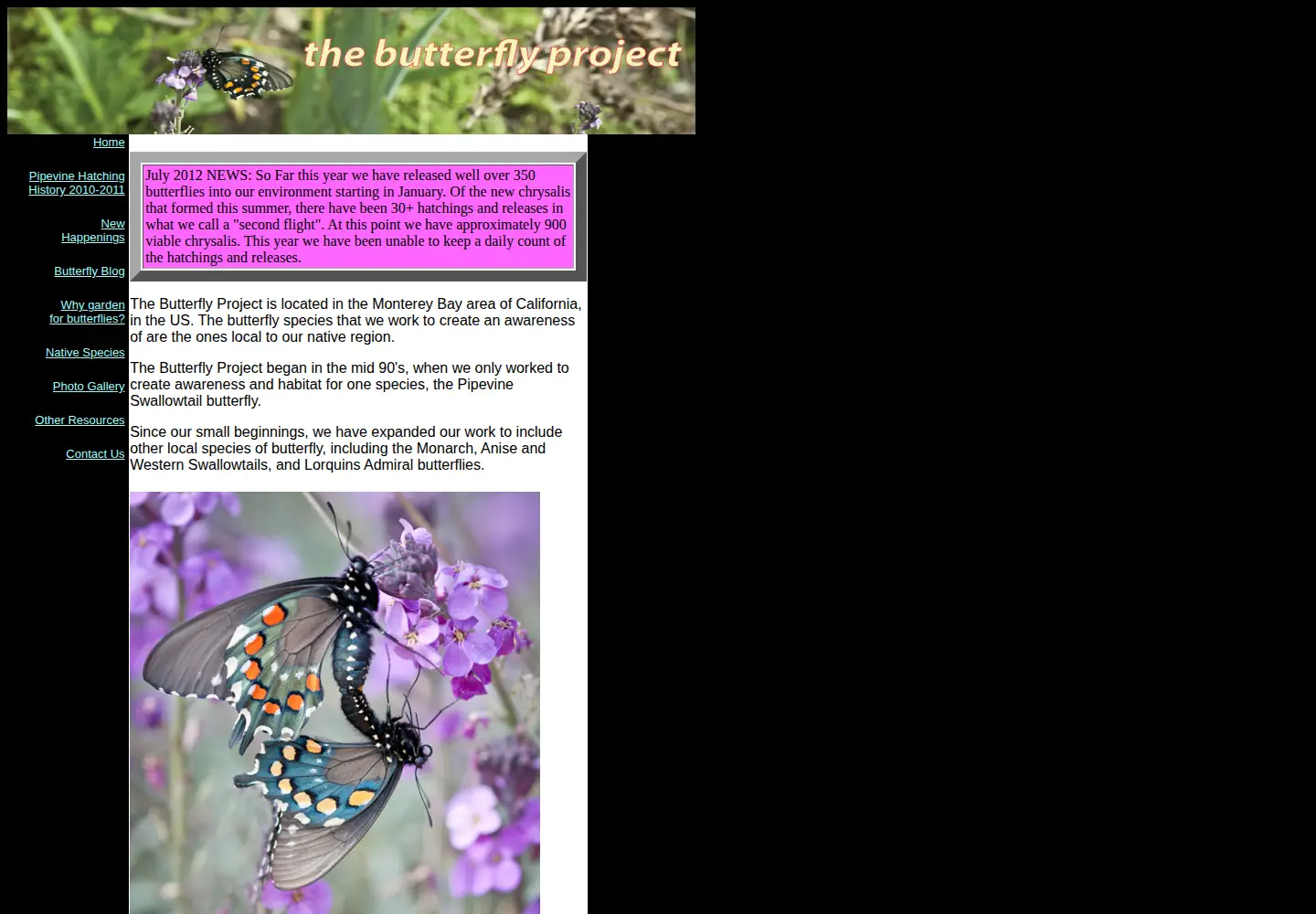 Captured homepage of butterflyproject.org in the current scan