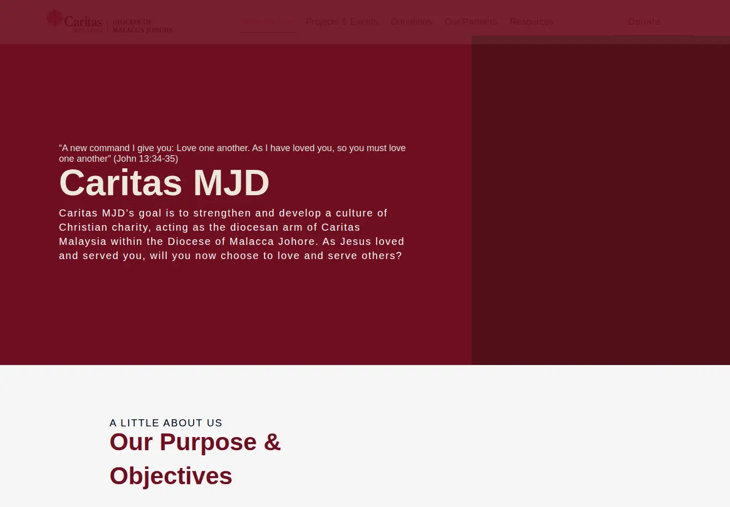 Captured homepage of caritasmjd.org in the current scan