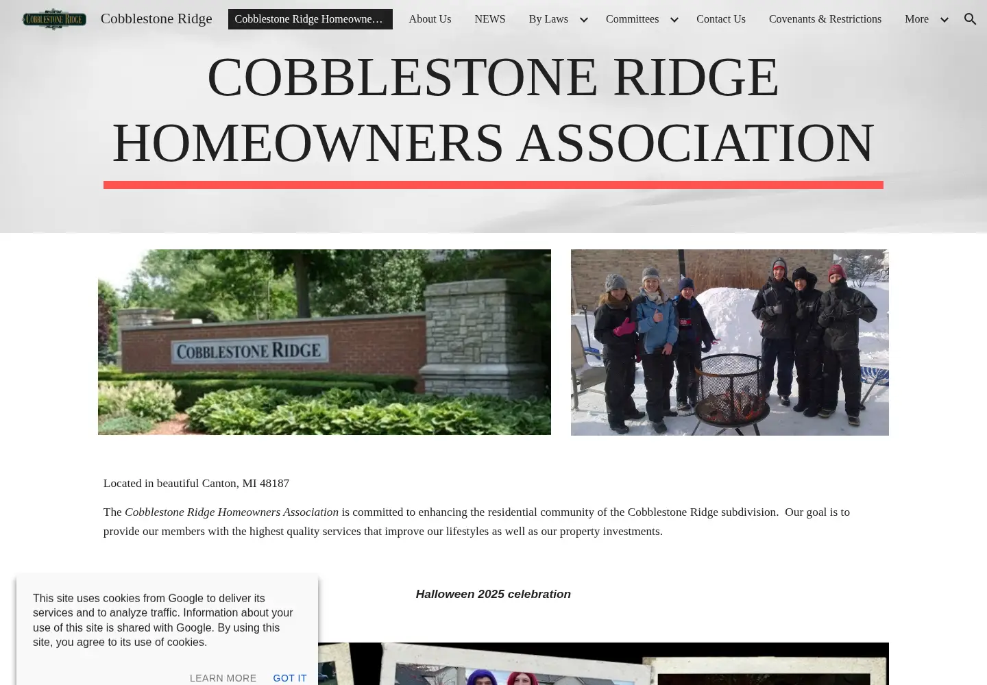 Captured homepage of cobblestoneridge.org in the current scan