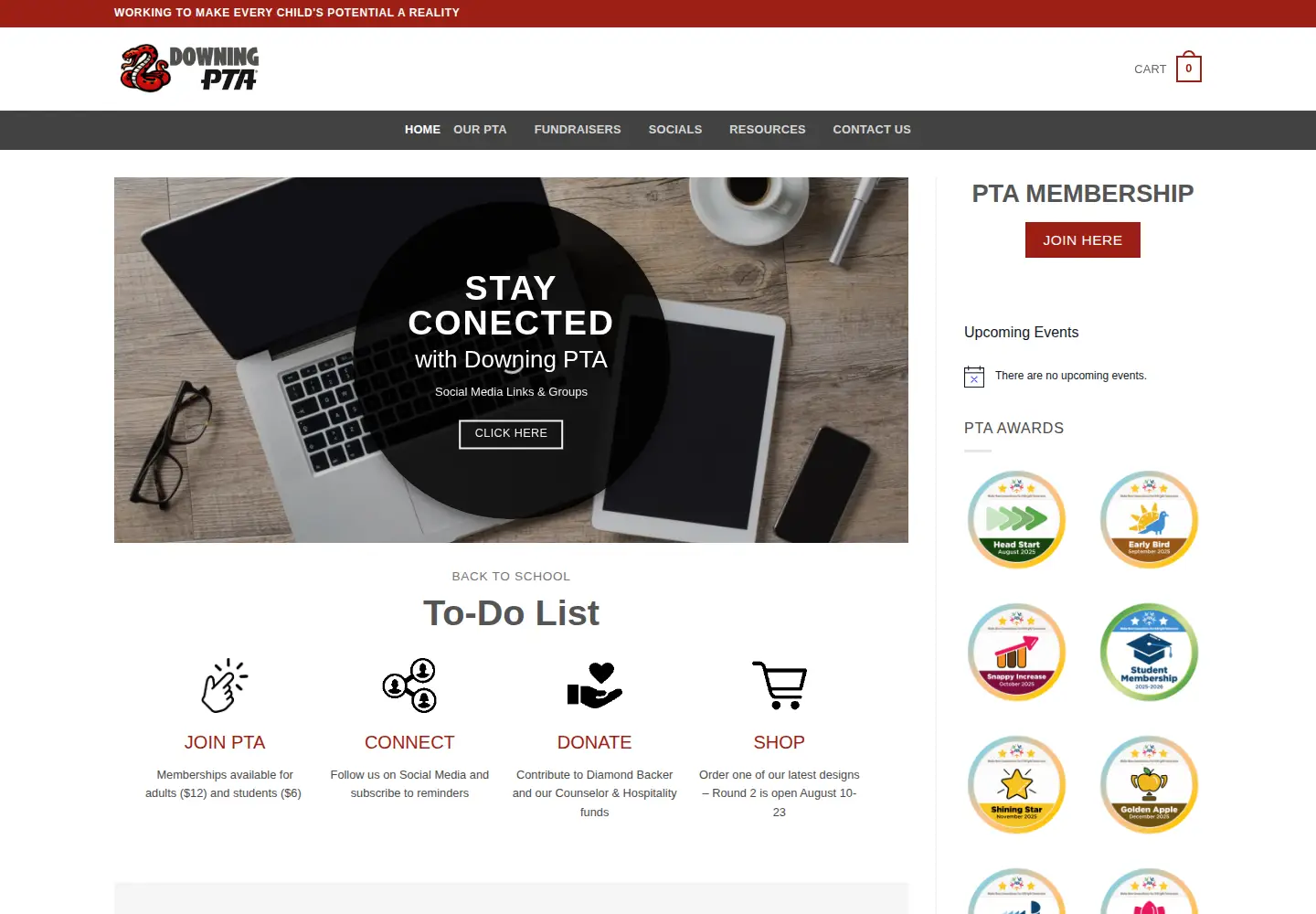 Captured homepage of downingpta.org in the current scan