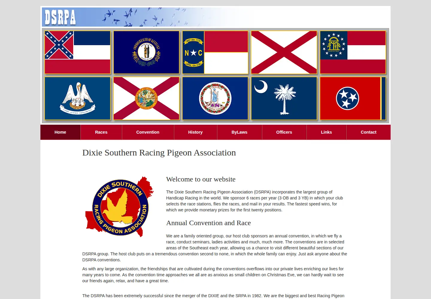 Screenshot of dsrpa.org