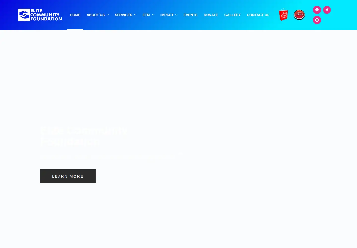 Screenshot of ecfnys.org