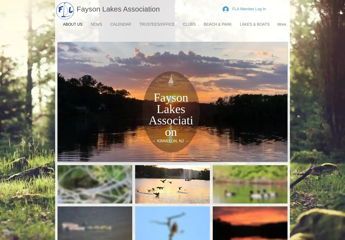 Screenshot of faysonlakes.org