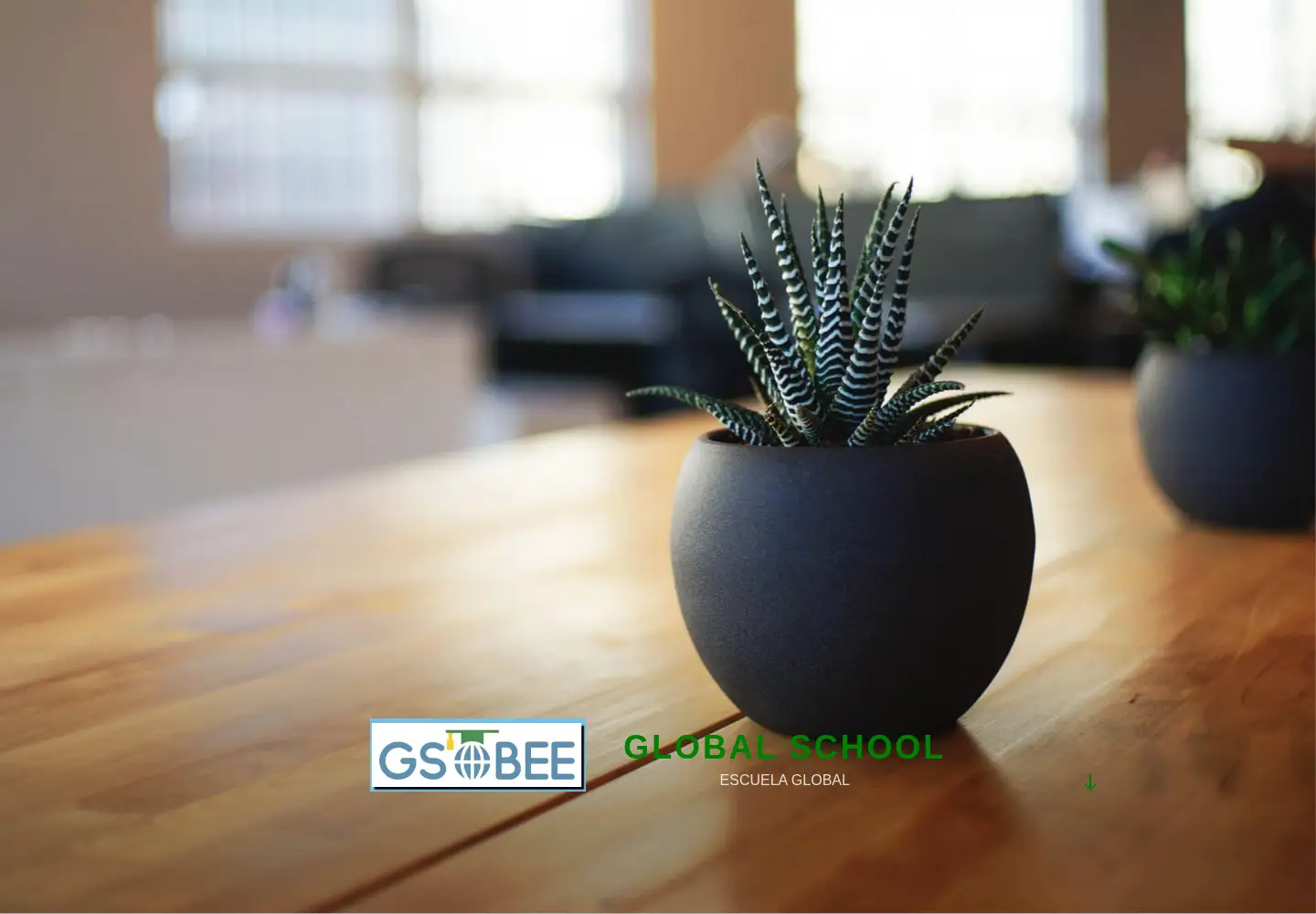 Screenshot of gsobee.org