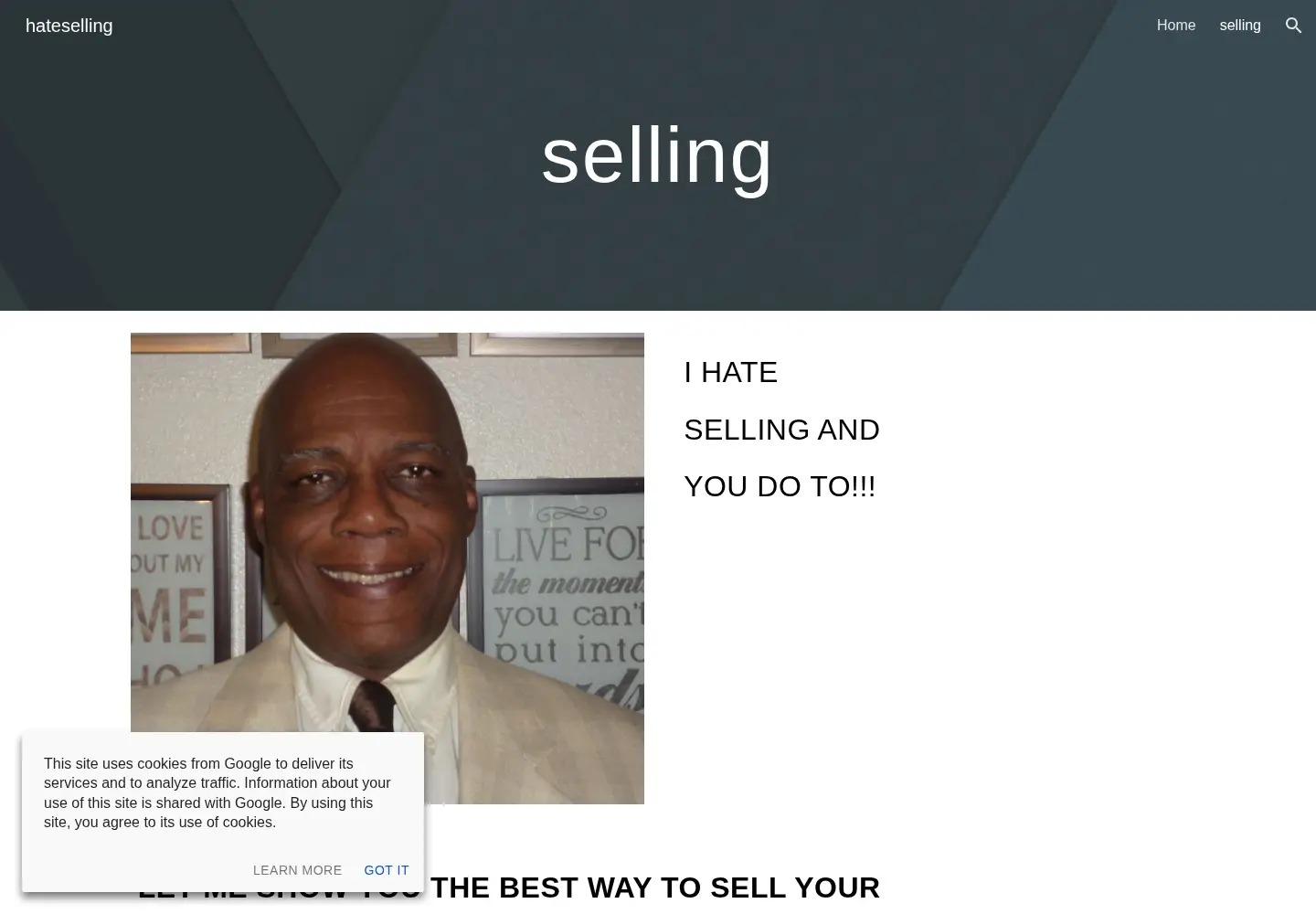 Captured homepage of ihateselling.org in the current scan
