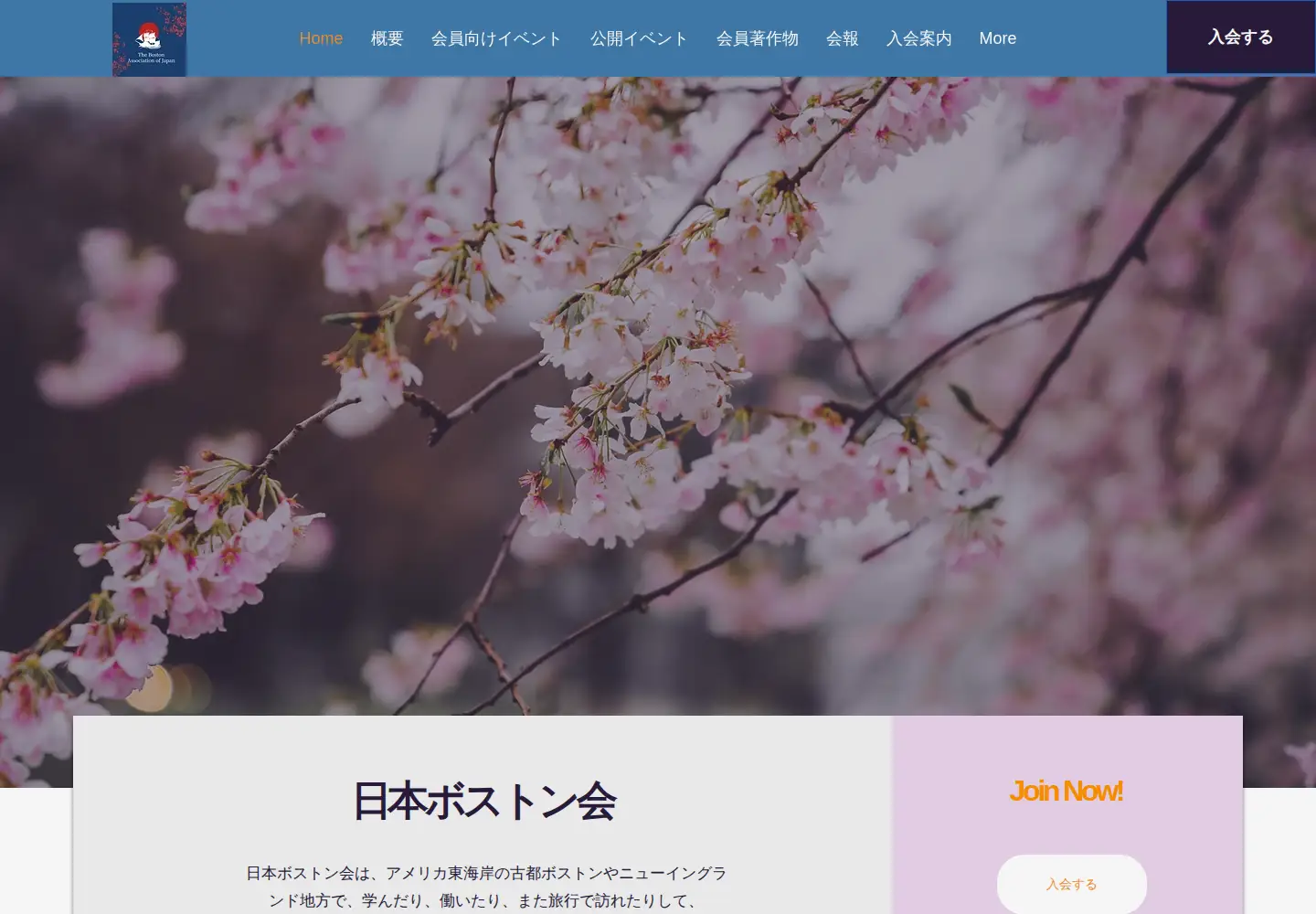 Captured homepage of j-boston.org in the current scan