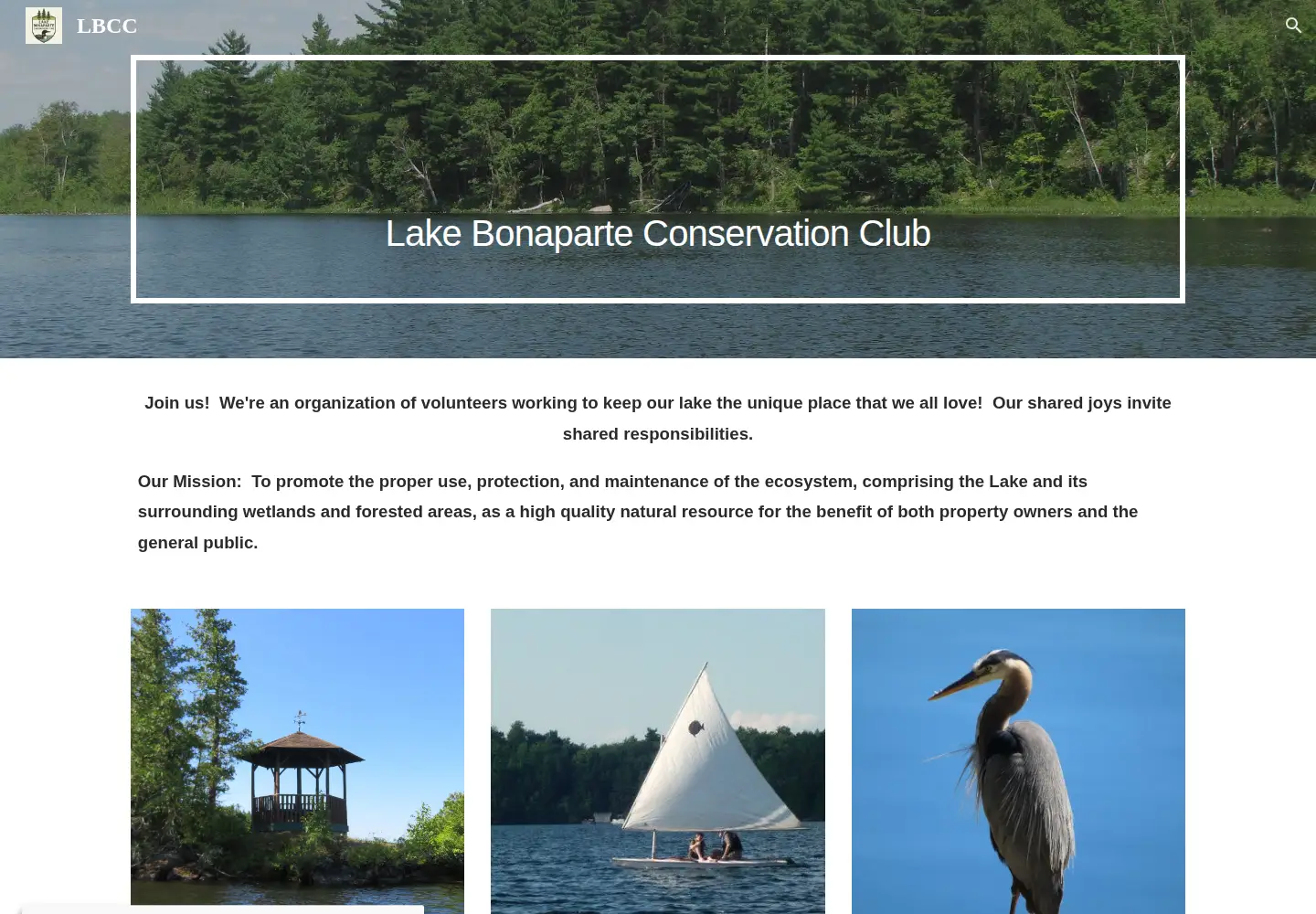 Captured homepage of lakebonaparteconservation.org in the current scan