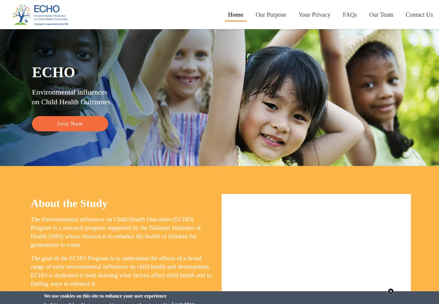Screenshot of nyuecho.org