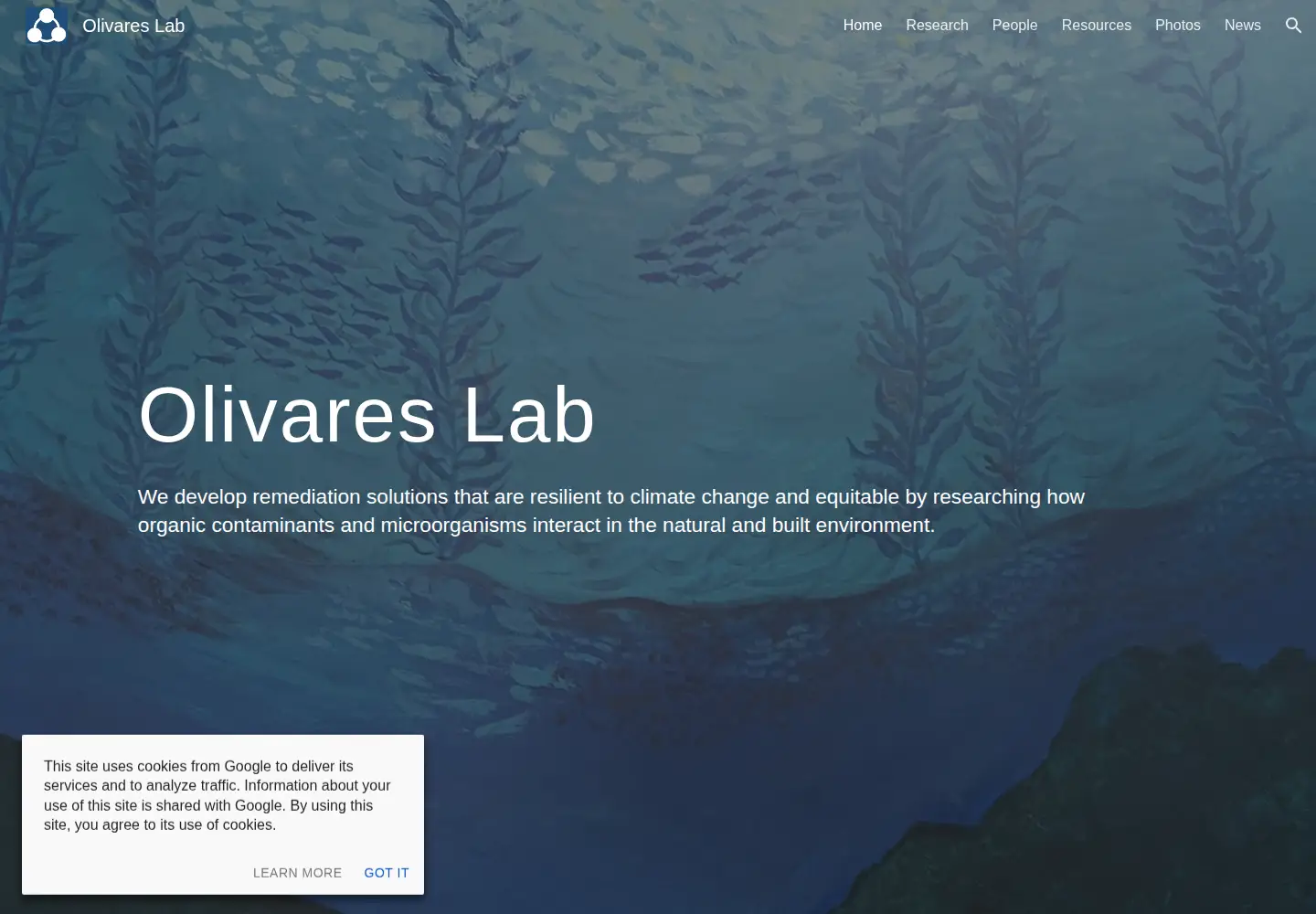 Screenshot of olivareslab.org