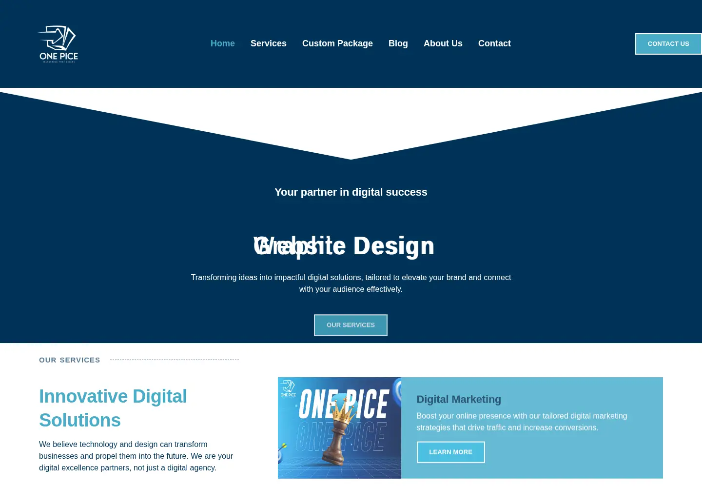 Captured homepage of onepice.org in the current scan