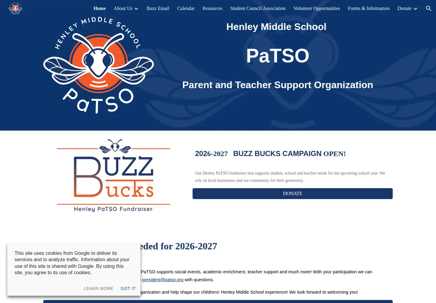 Screenshot of patso.org