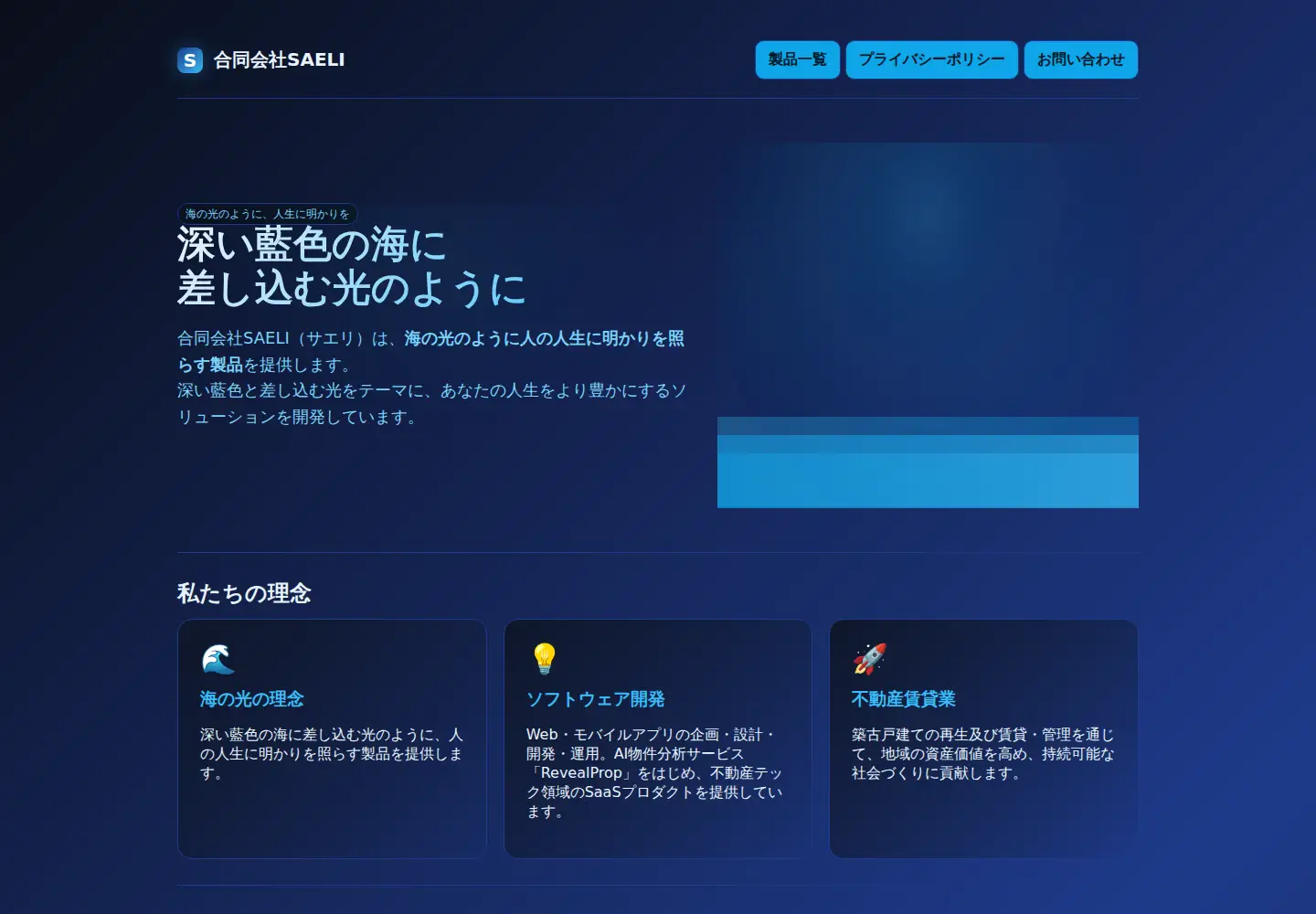 Captured homepage of saeli.org in the current scan