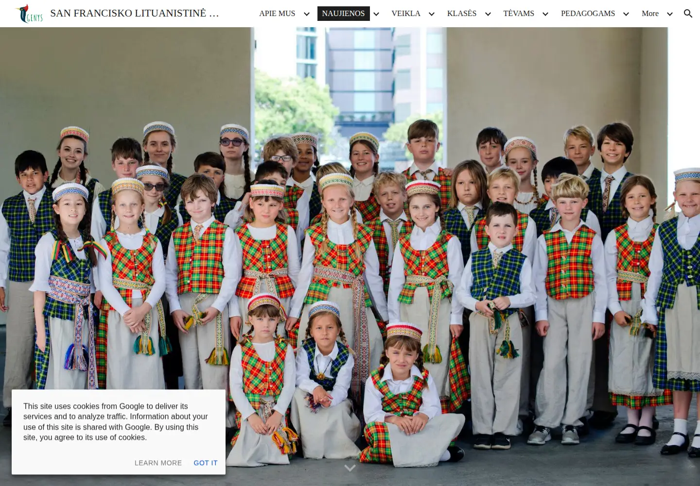 Screenshot of sfgenys.org