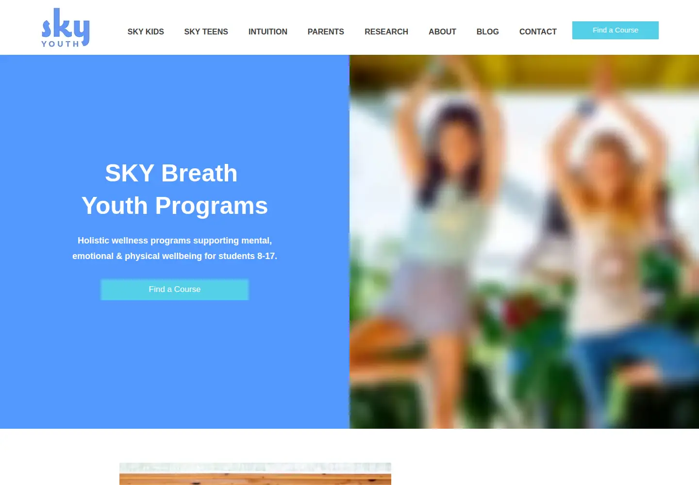 Screenshot of skyteens.org