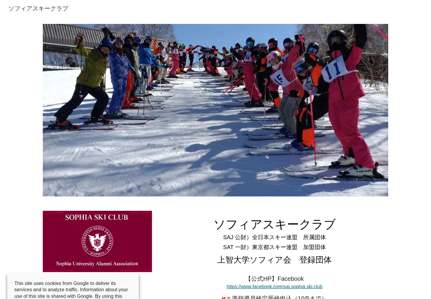 Screenshot of sophia-sc.org