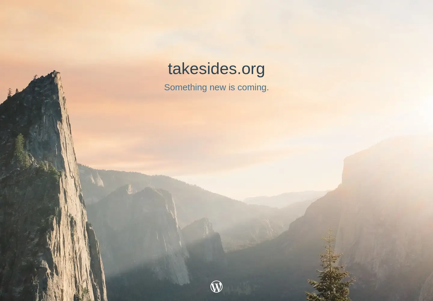Screenshot of takesides.org