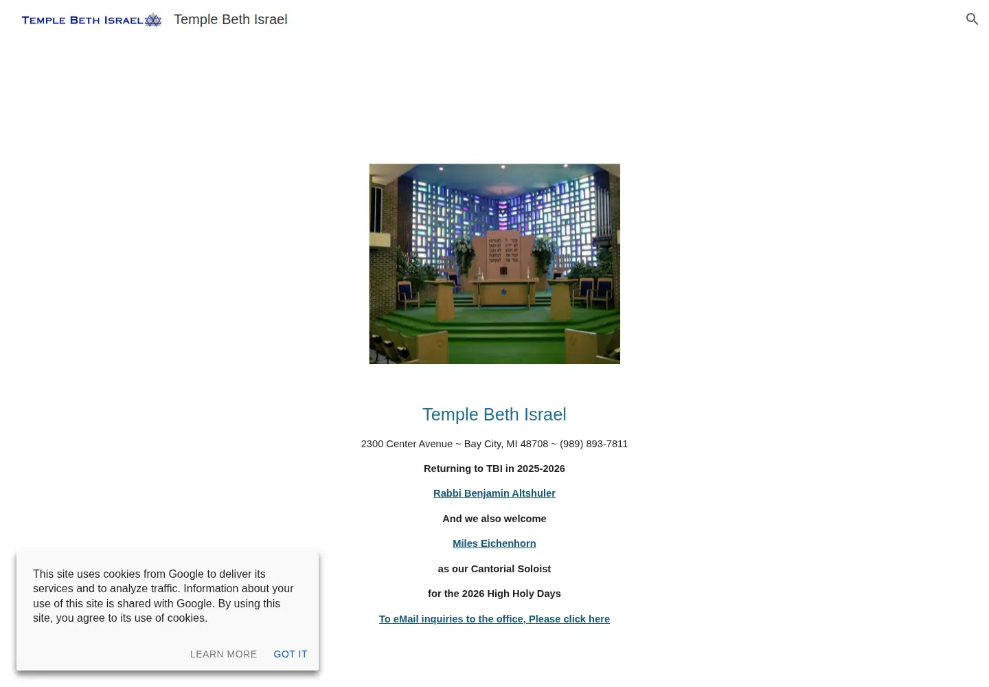 Screenshot of tbi-mich.org