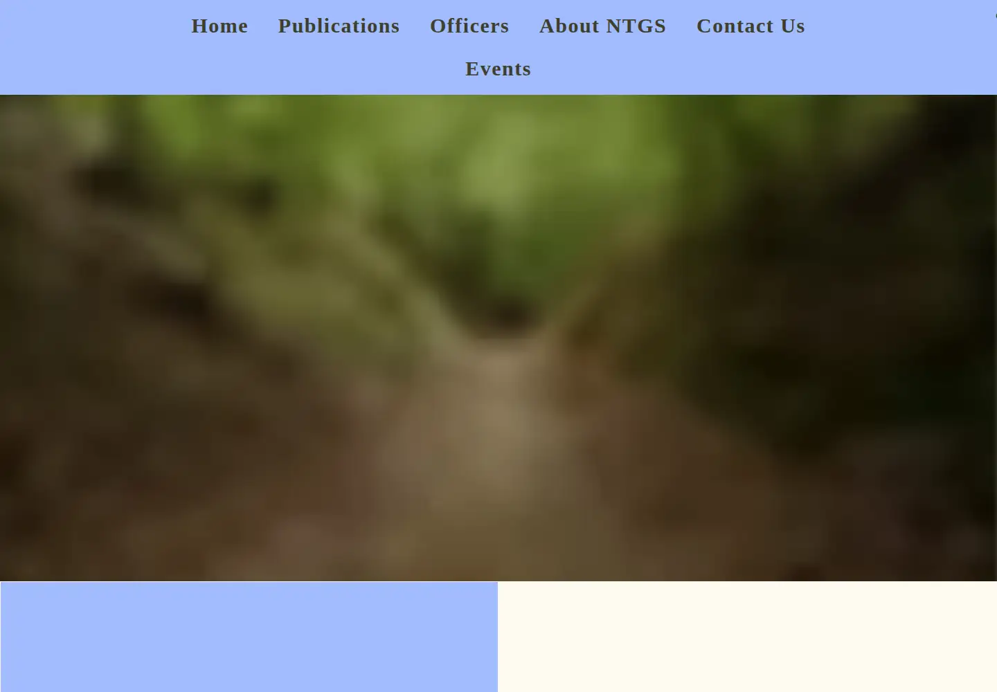 Captured homepage of thentgs.org in the current scan