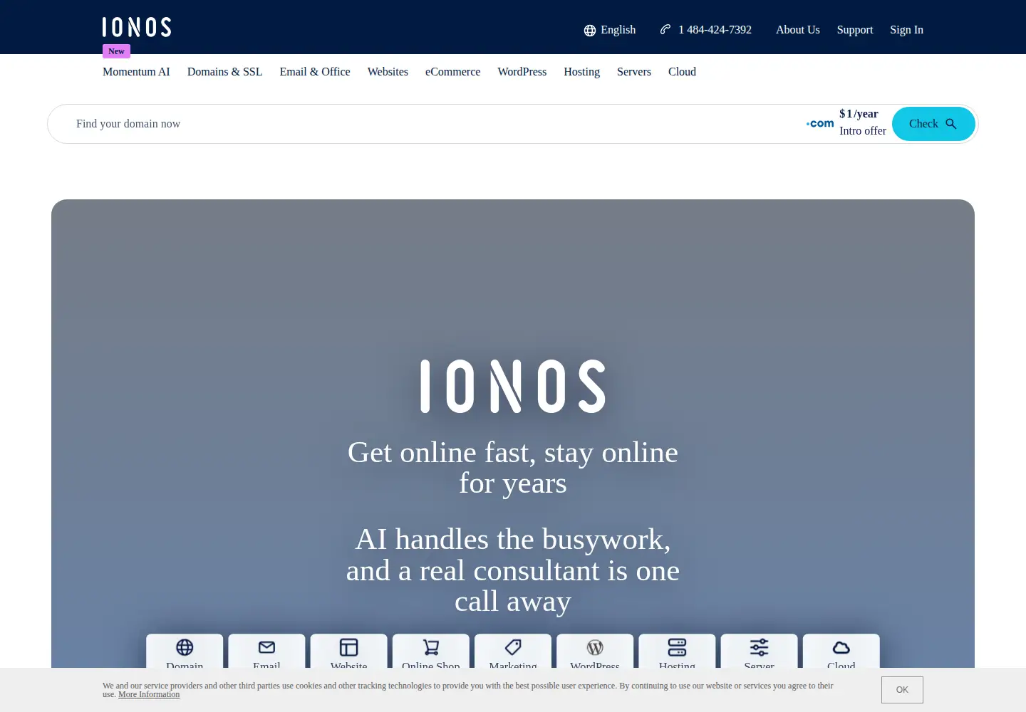 Screenshot of ionos.com