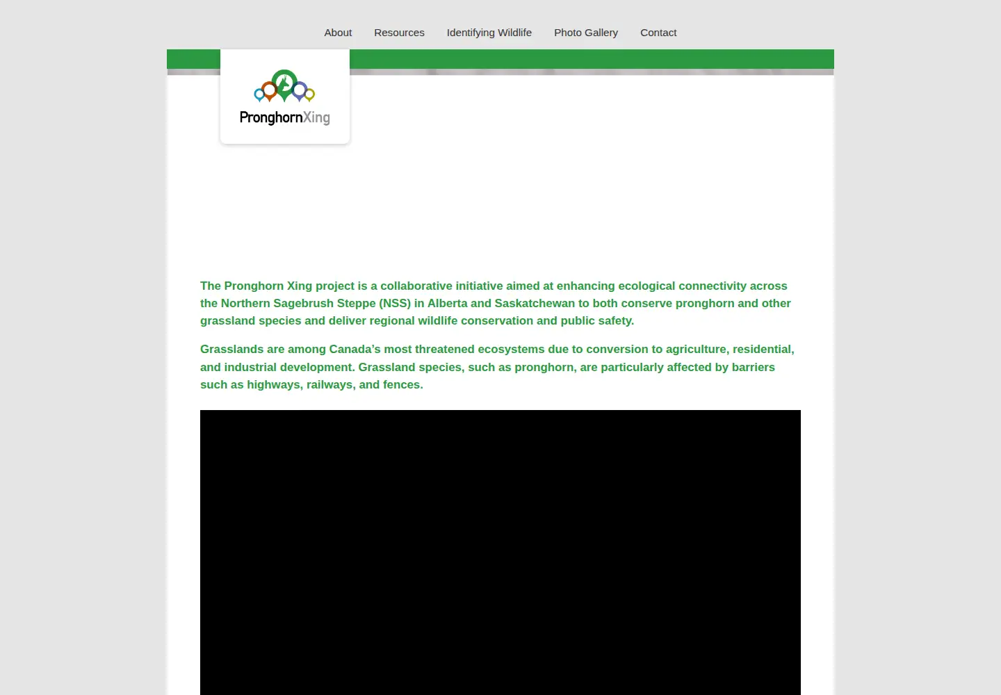 Captured homepage of wildlifexing.org in the current scan