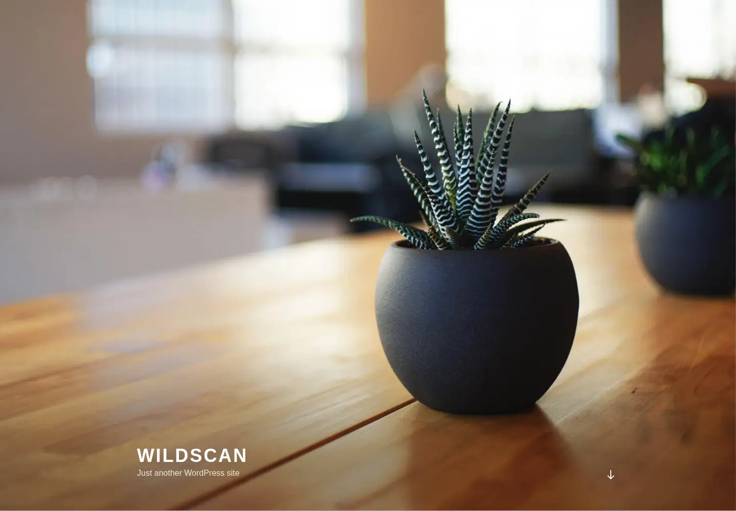 Captured homepage of wildscan.org in the current scan