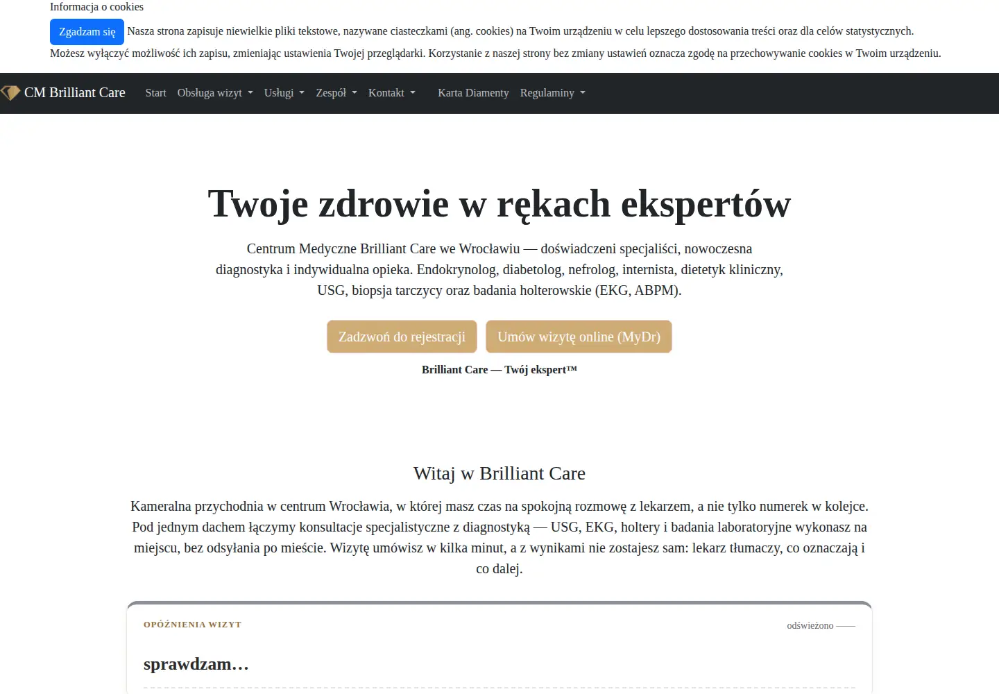 Captured homepage of brilliantcare.pl in the current scan