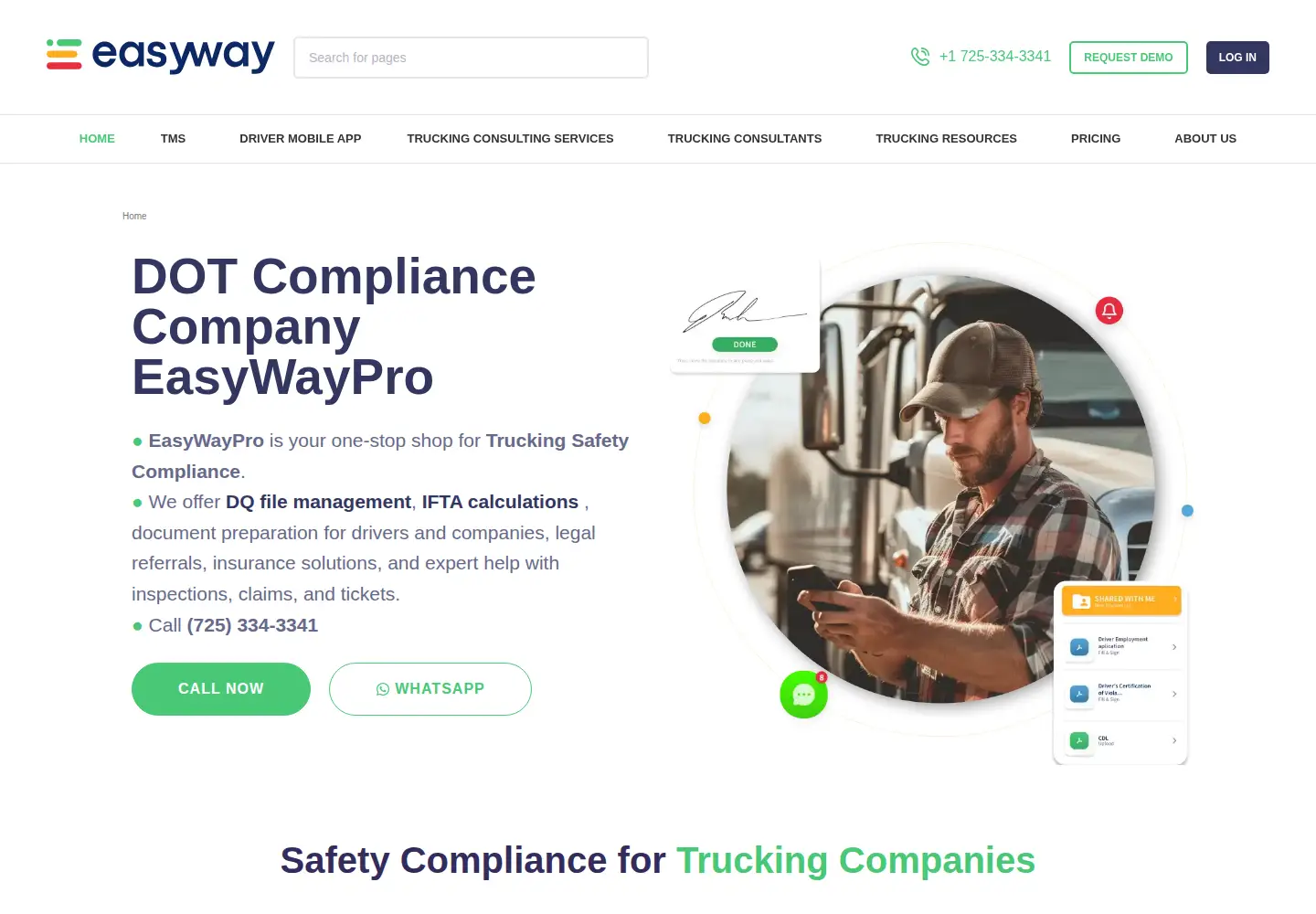 Captured homepage of easyway.pro in the current scan