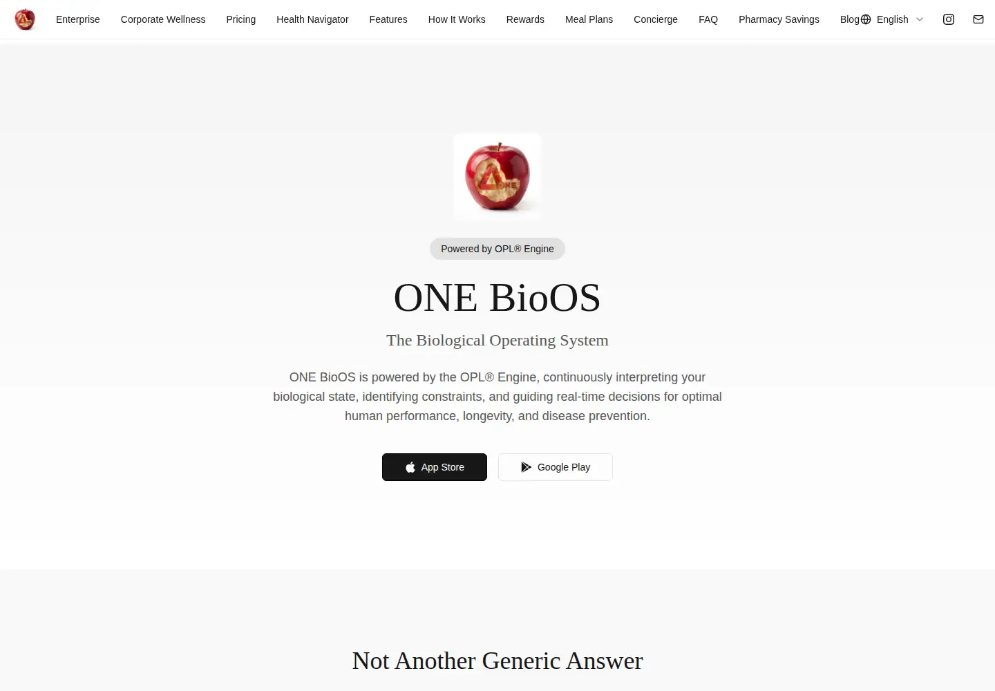 Screenshot of one-ai.pro