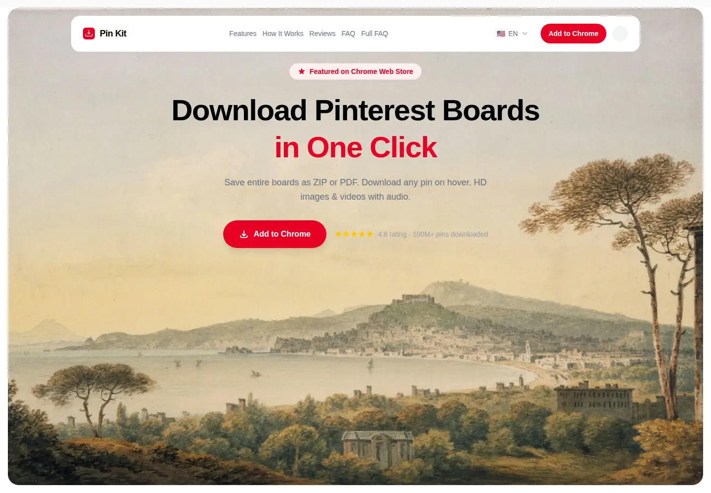 Captured homepage of pinkit.pro in the current scan