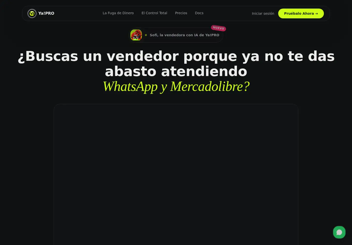 Captured homepage of yacrm.pro in the current scan