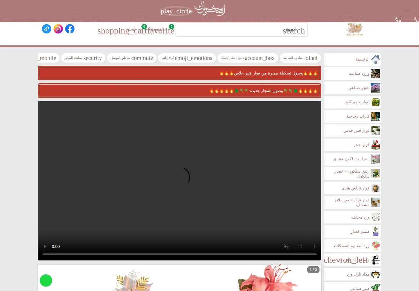 Captured homepage of omari.ps in the current scan