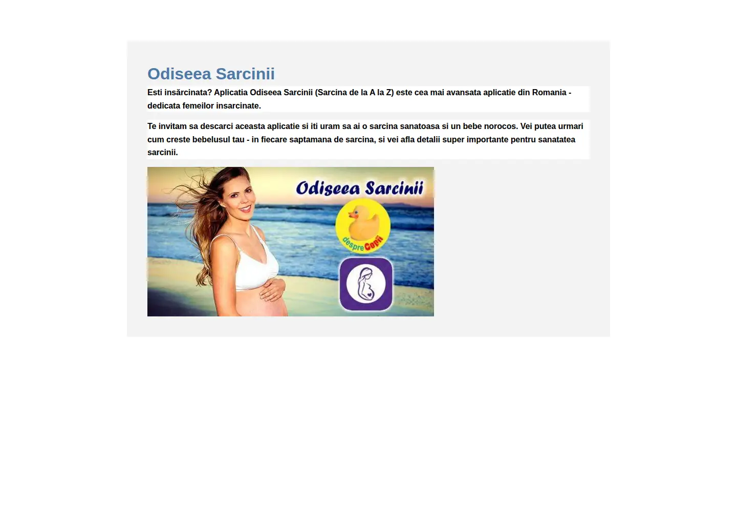 Screenshot of odiseeasarcinii.ro