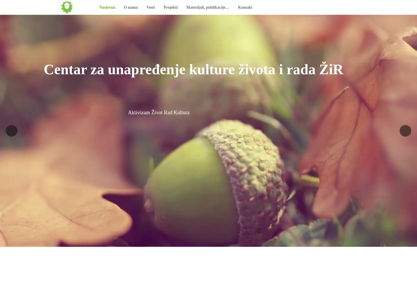 Captured homepage of zir.org.rs in the current scan