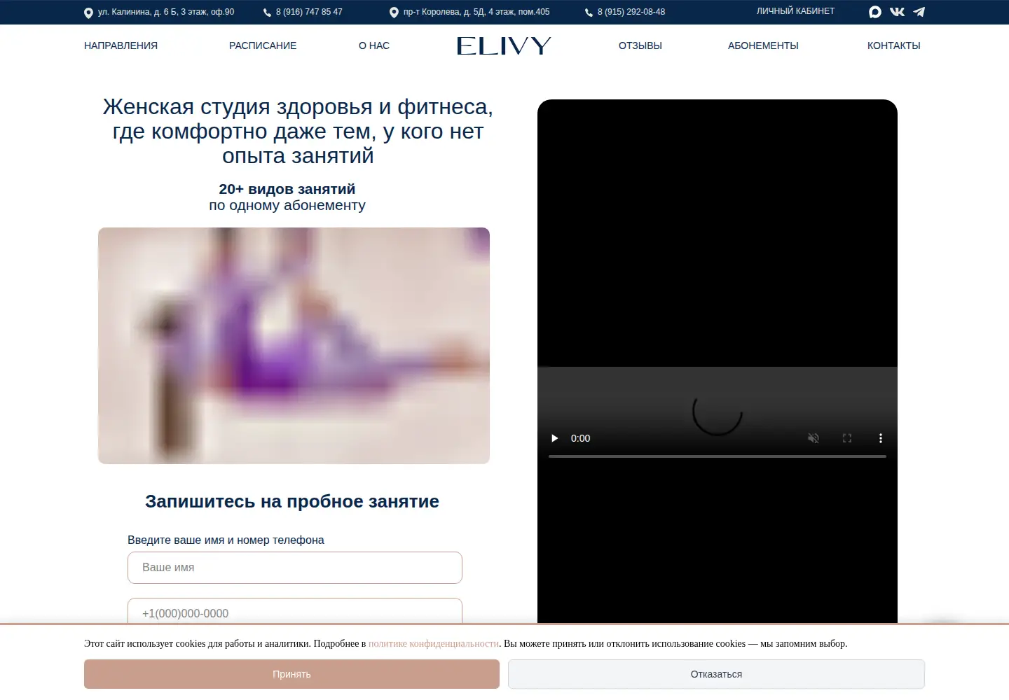 Screenshot of elivy.ru