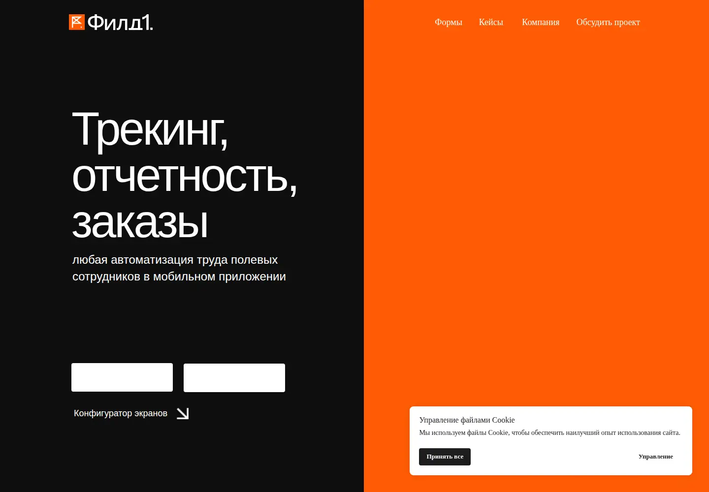 Screenshot of field1.ru
