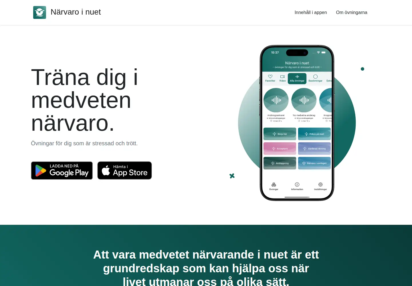 Captured homepage of narvaroinuet.se in the current scan