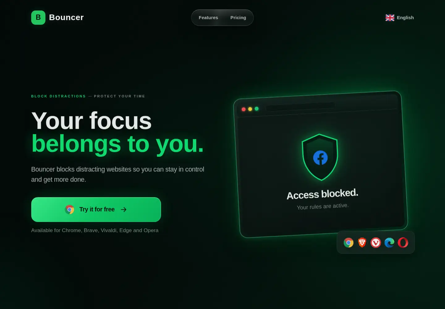 Captured homepage of bouncer.services in the current scan