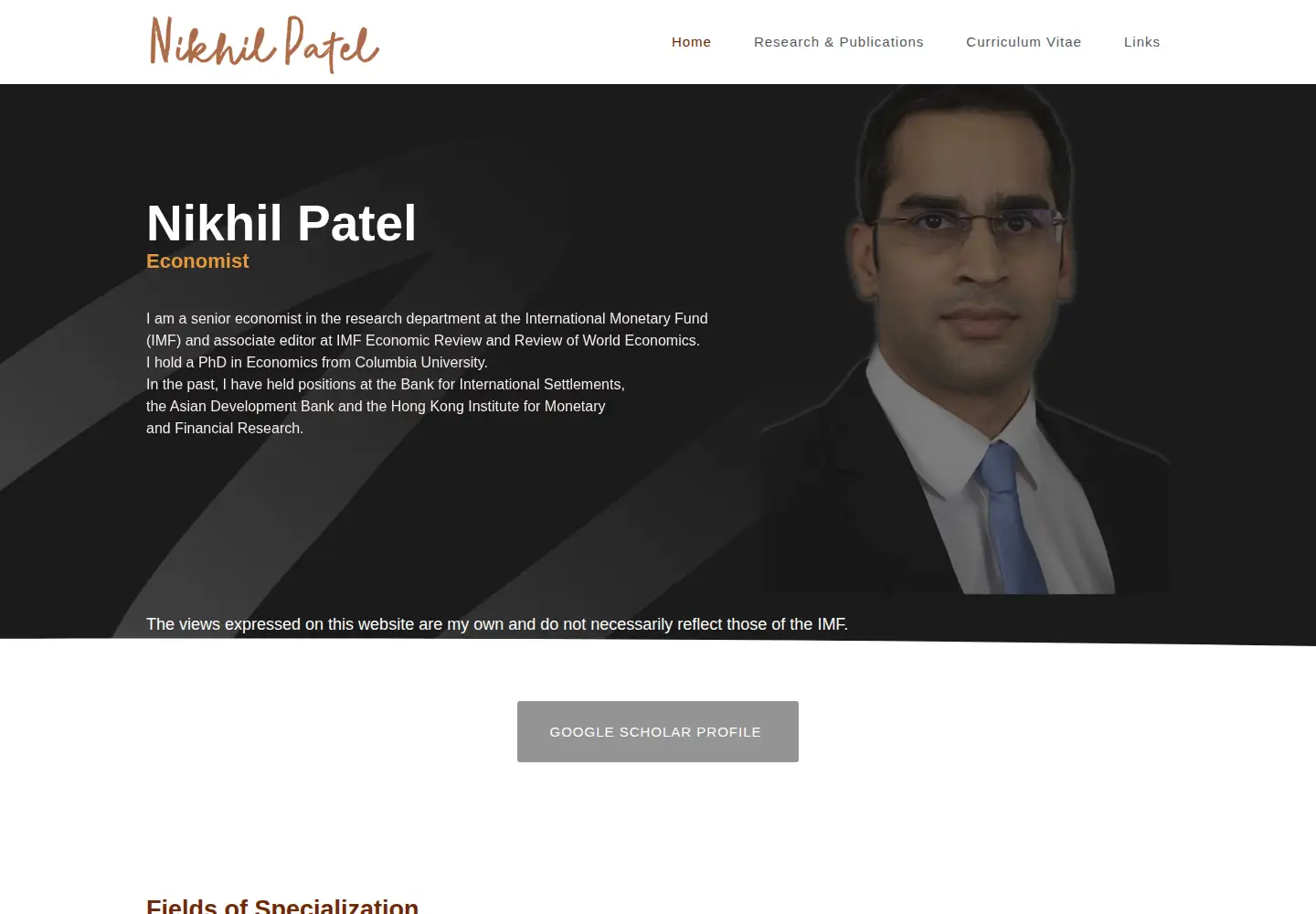 Screenshot of nikhilpatel.site