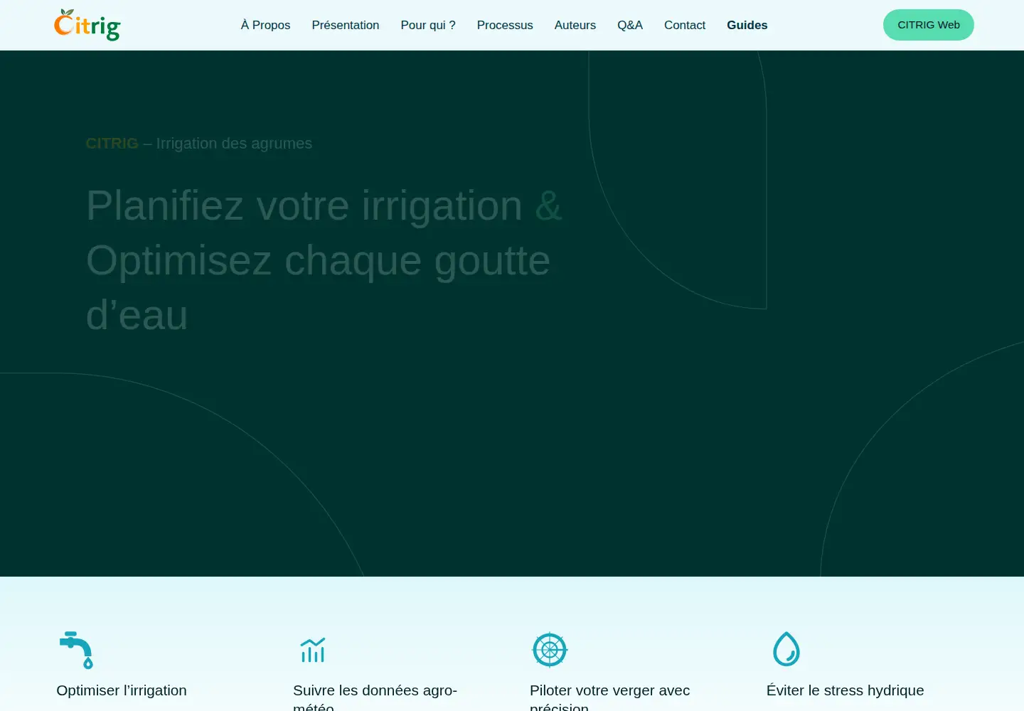 Screenshot of citrig.tn