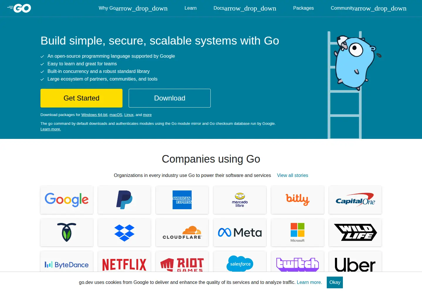 Screenshot of golang.org