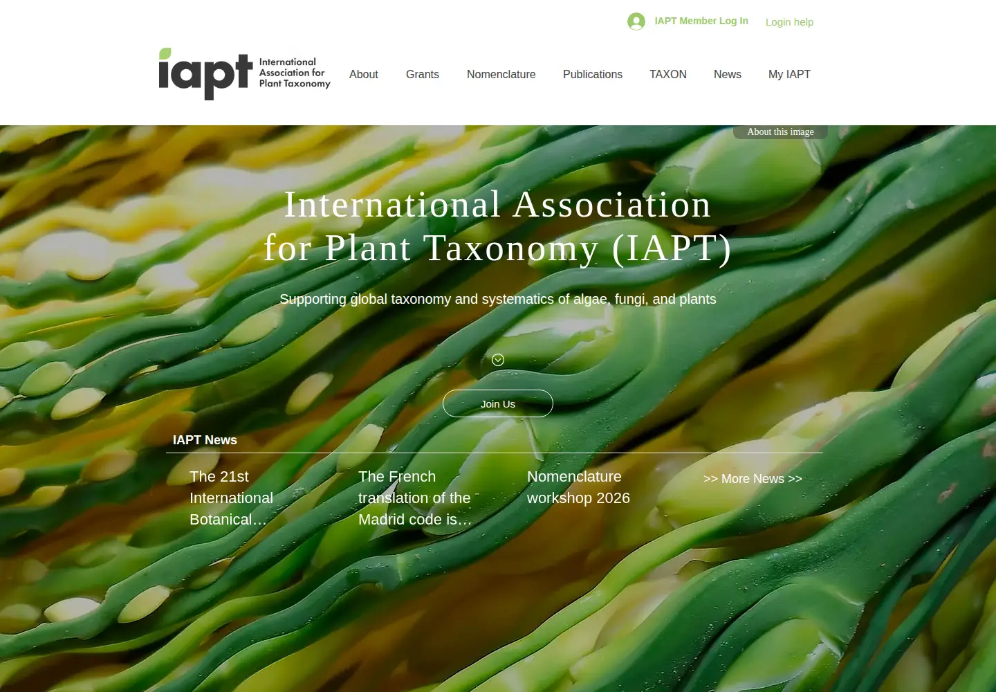 Screenshot of iapt-taxon.org