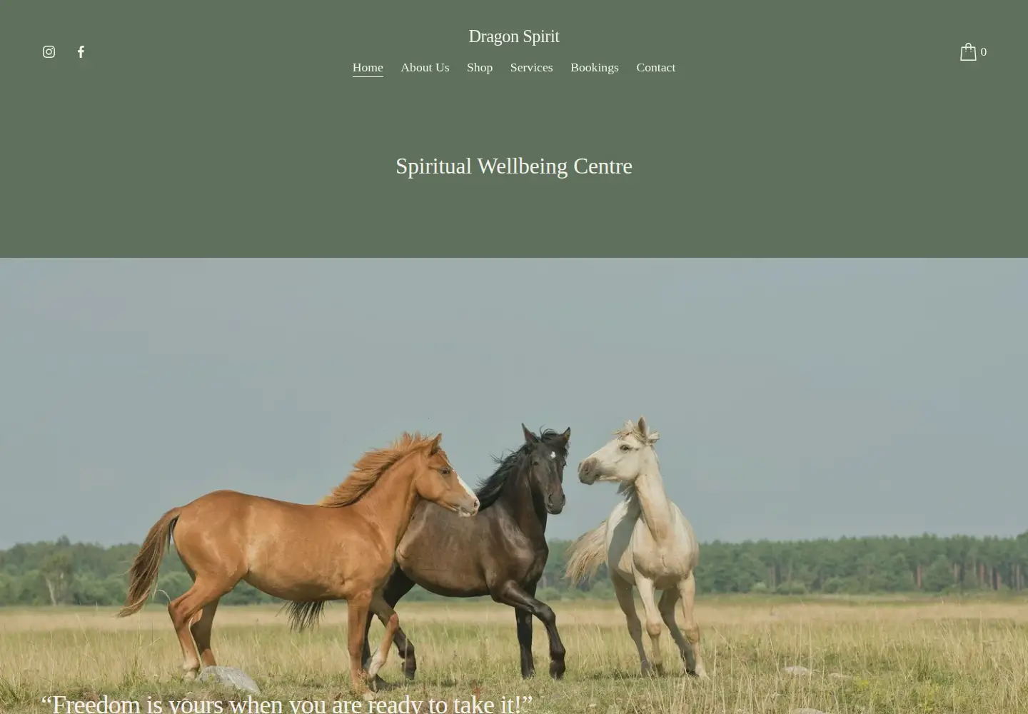 Screenshot of dragonspirit.co.uk