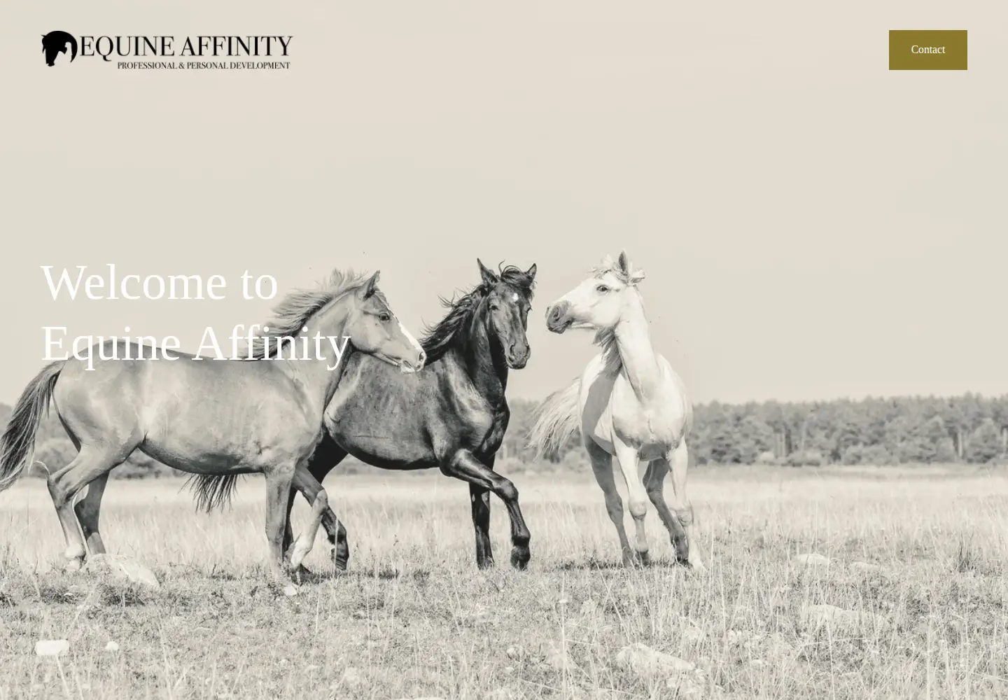 Captured homepage of equineaffinity.co.uk in the current scan