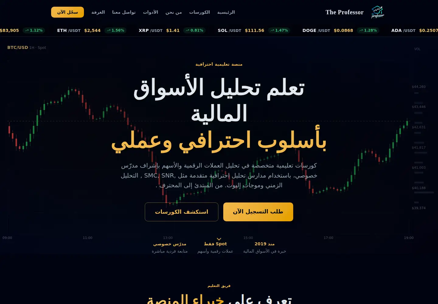 Screenshot of the-professor.vip