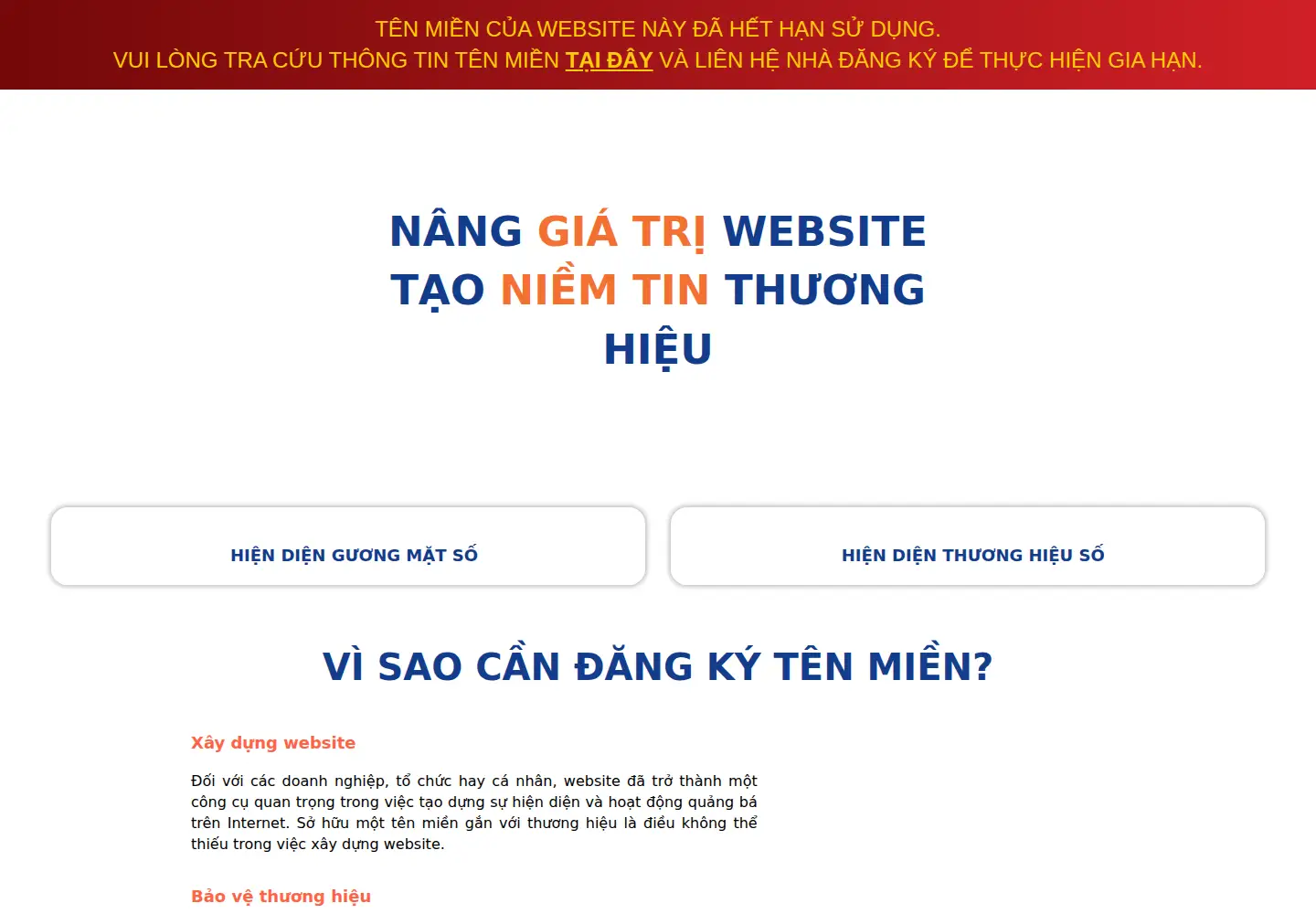 Captured homepage of api.id.vn in the current scan