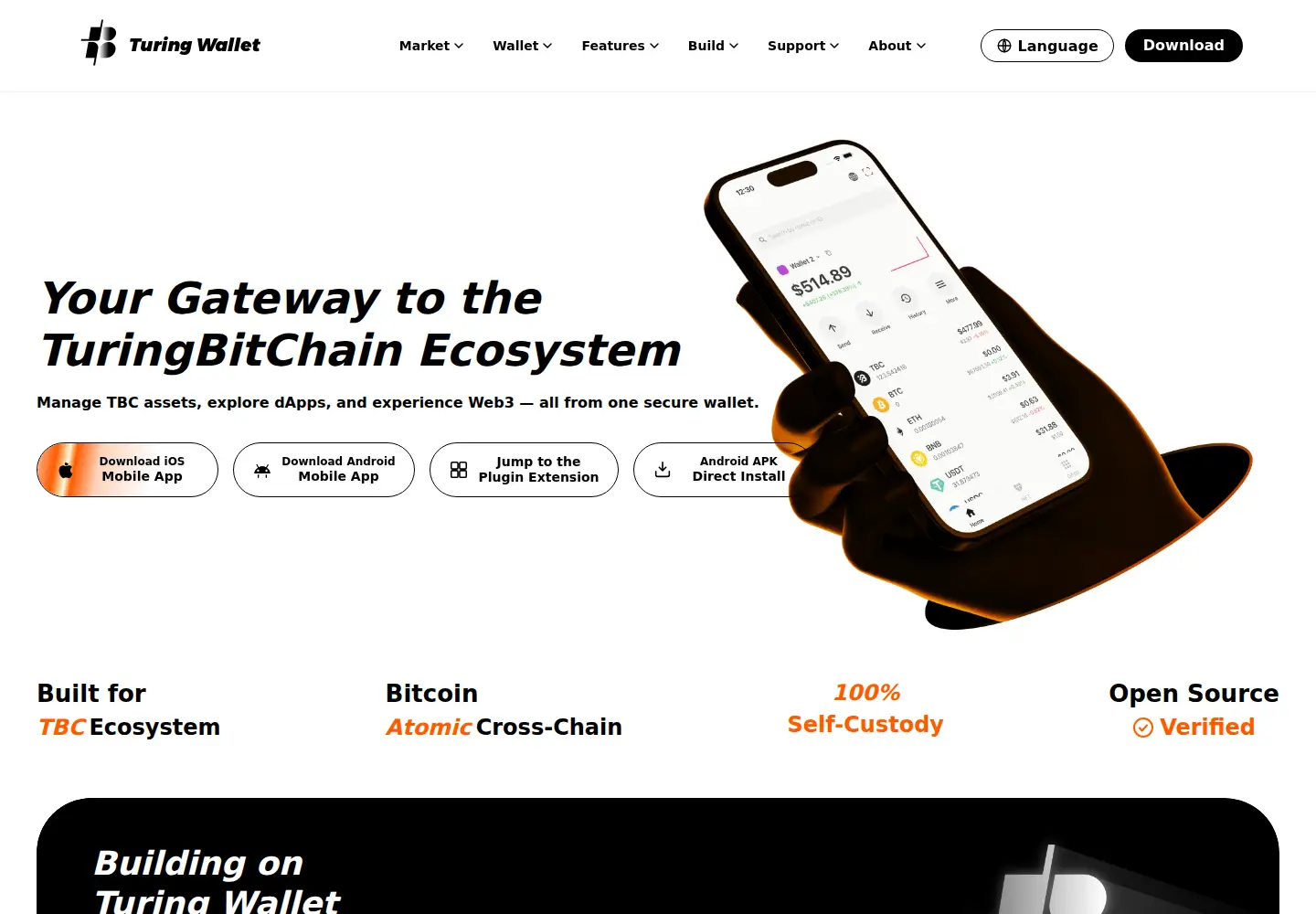 Captured homepage of turingwallet.xyz in the current scan